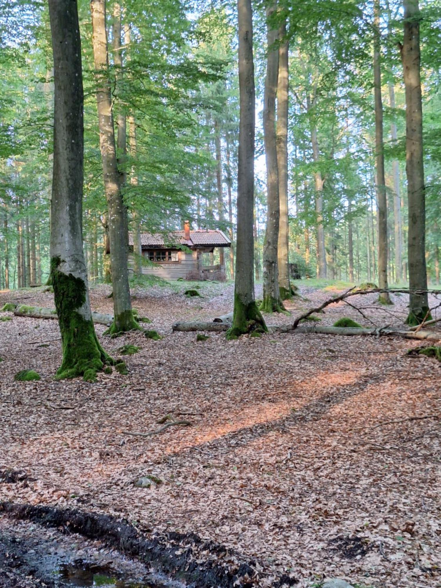 Bjaernhultsgardens Stugor Linderod Exterior foto