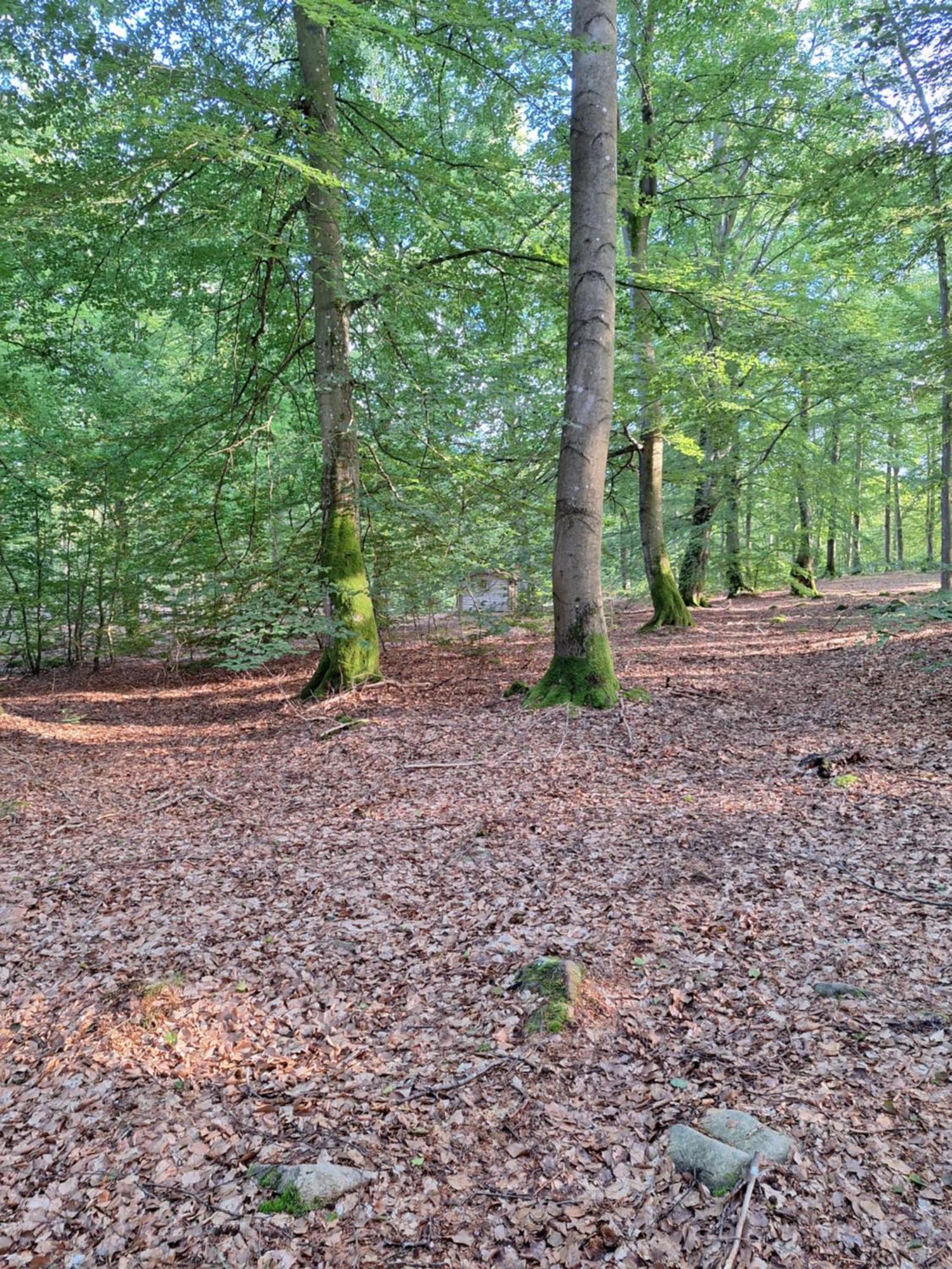 Bjaernhultsgardens Stugor Linderod Exterior foto